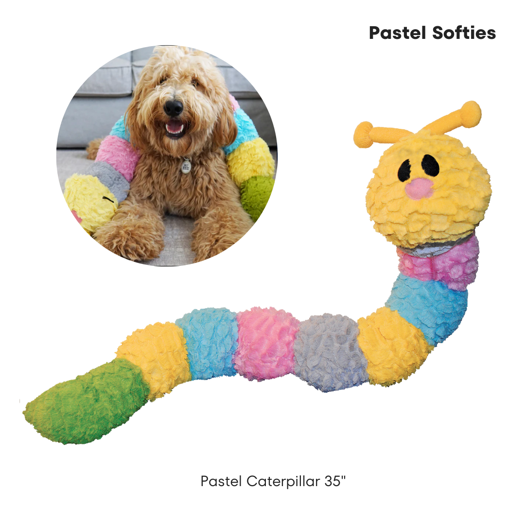 Starter Bundle (13 different toys, total of 43 units)