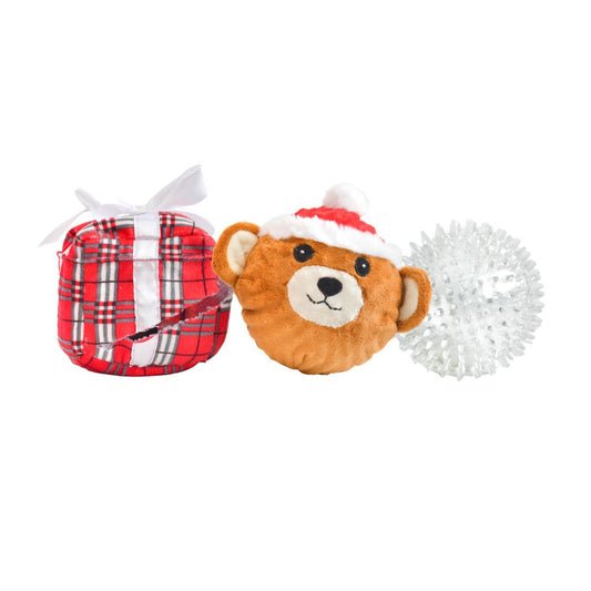 Bear in a Present Prickle Ball 5"