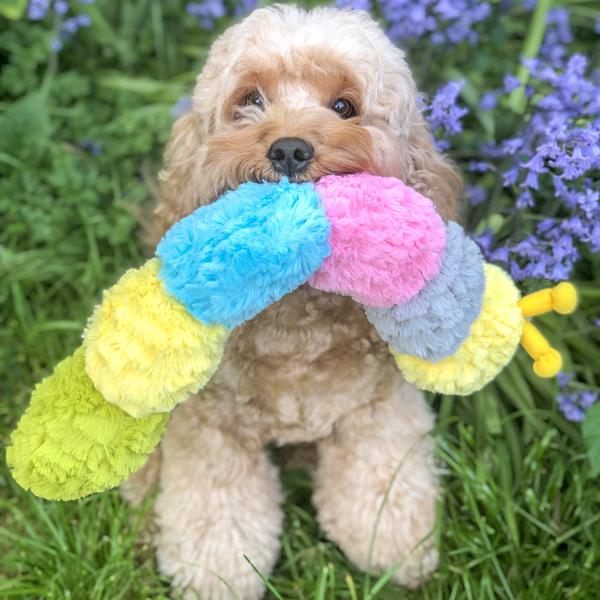 Patchwork Pet Plush Caterpillar Dog Toy with doodle Dog