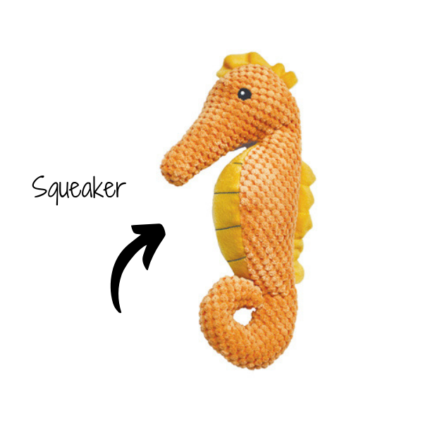 Seahorse 11"