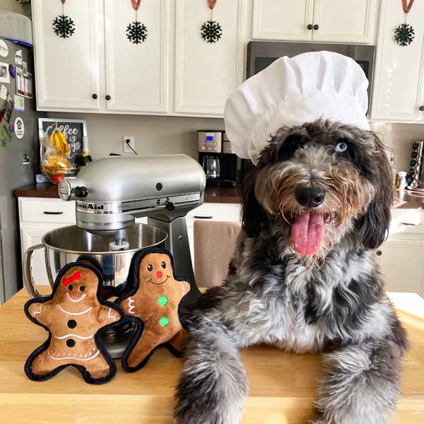 Flat Gingerbread Man 8"