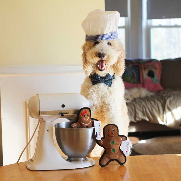 Flat Gingerbread Man 8"