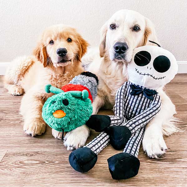 Halloween plush dog toy Caterpillar fall dog toy