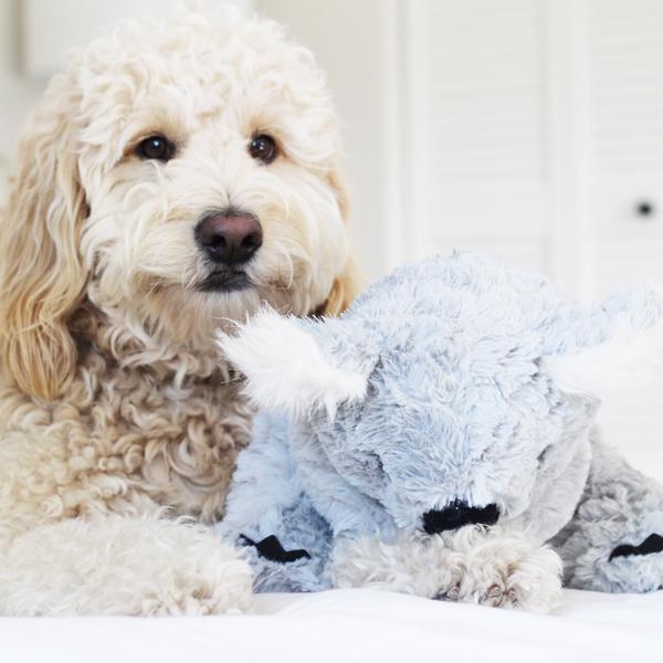 Patchwork Pet Koala Plush Dog Toy with goldendoodle dog