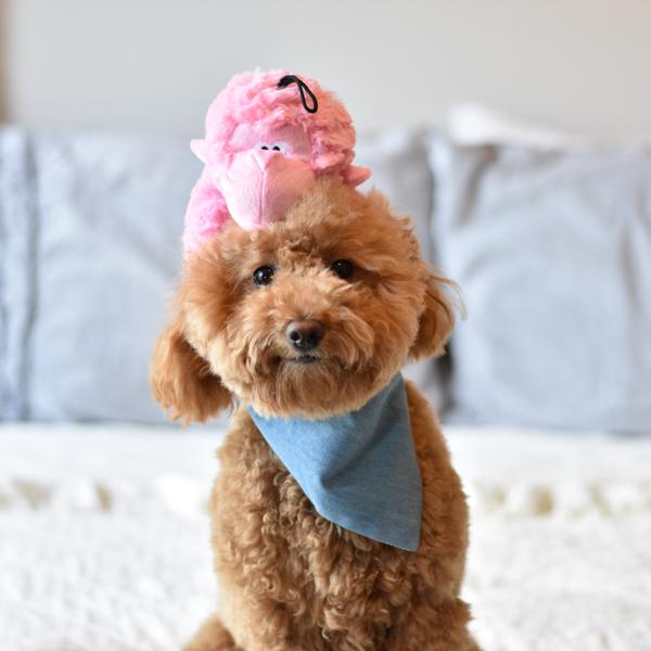 Patchwork Pet gorilla Plush Dog Toy with Goldendoodle dog