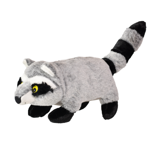 Raccoon