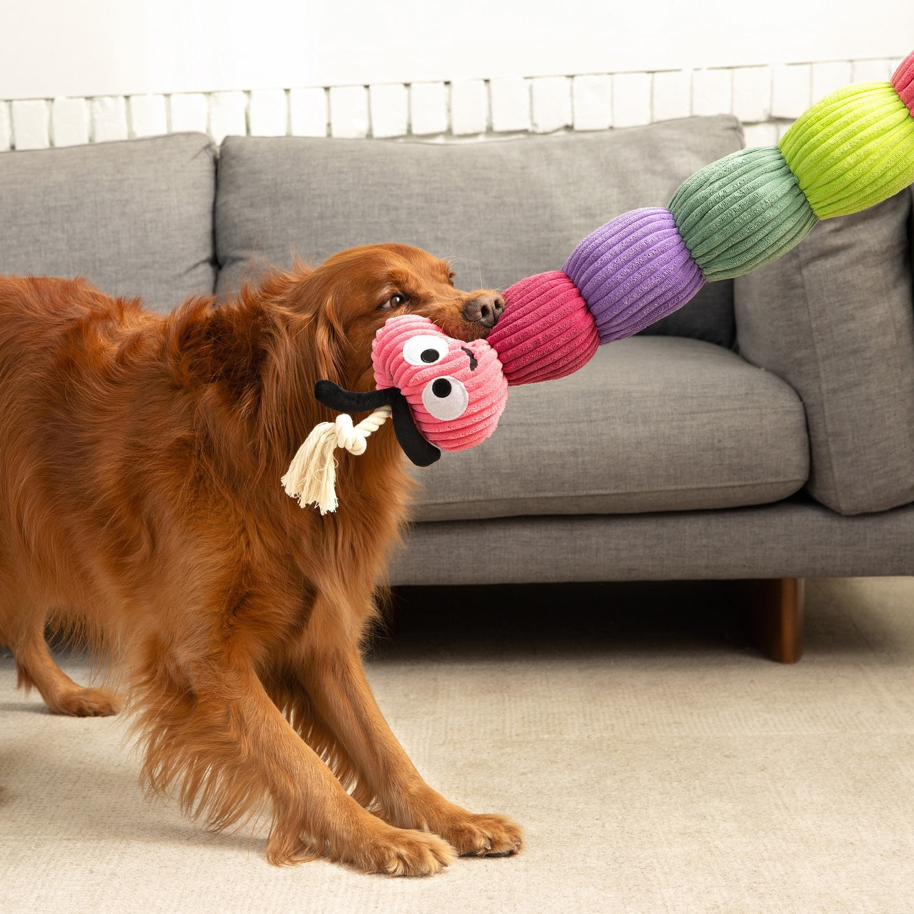 Bold Rope Caterpillar 45"