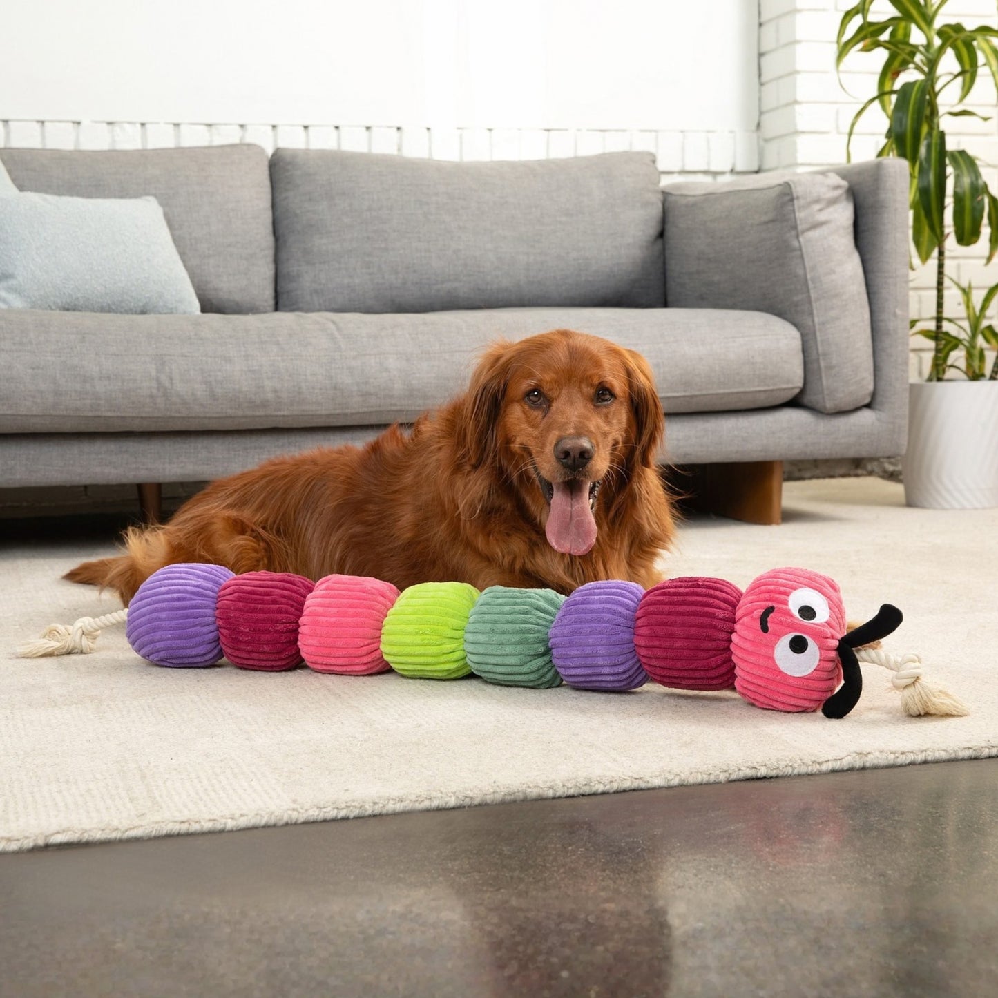 Bold Rope Caterpillar 45"