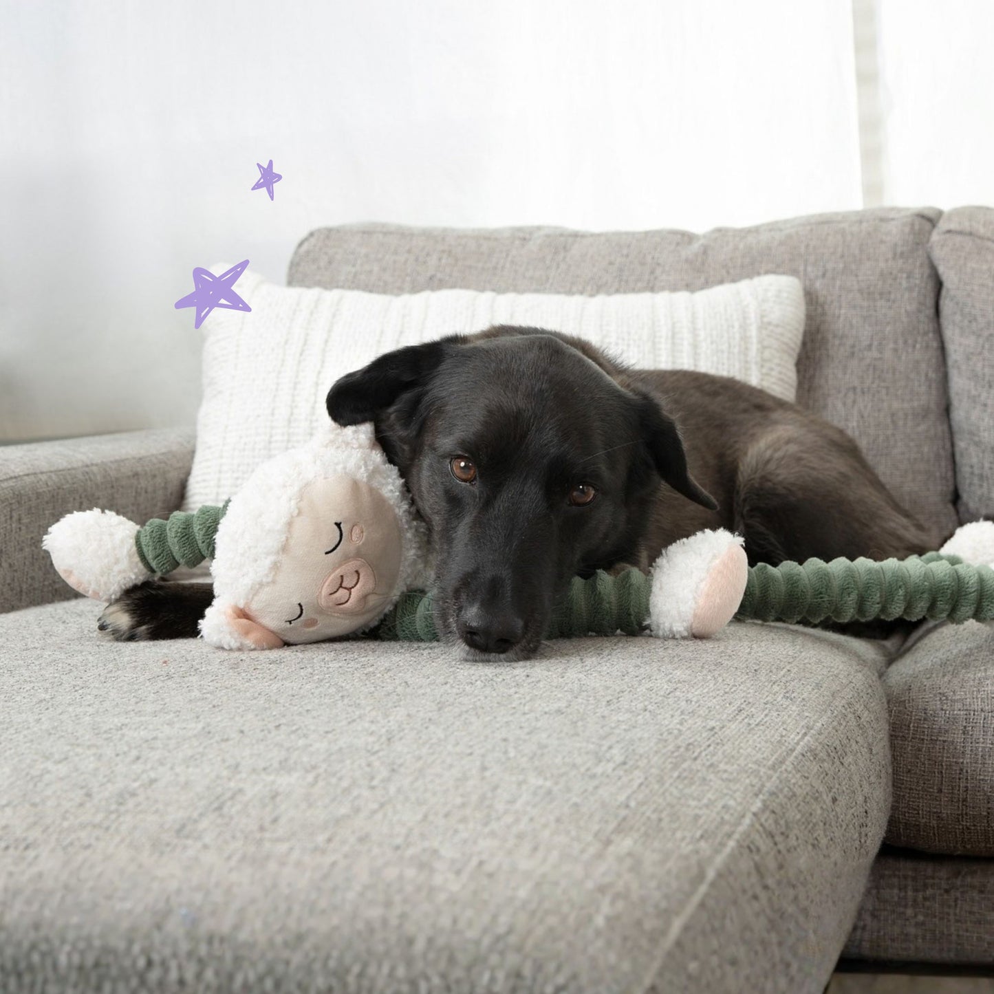 Lily Lamb 24"