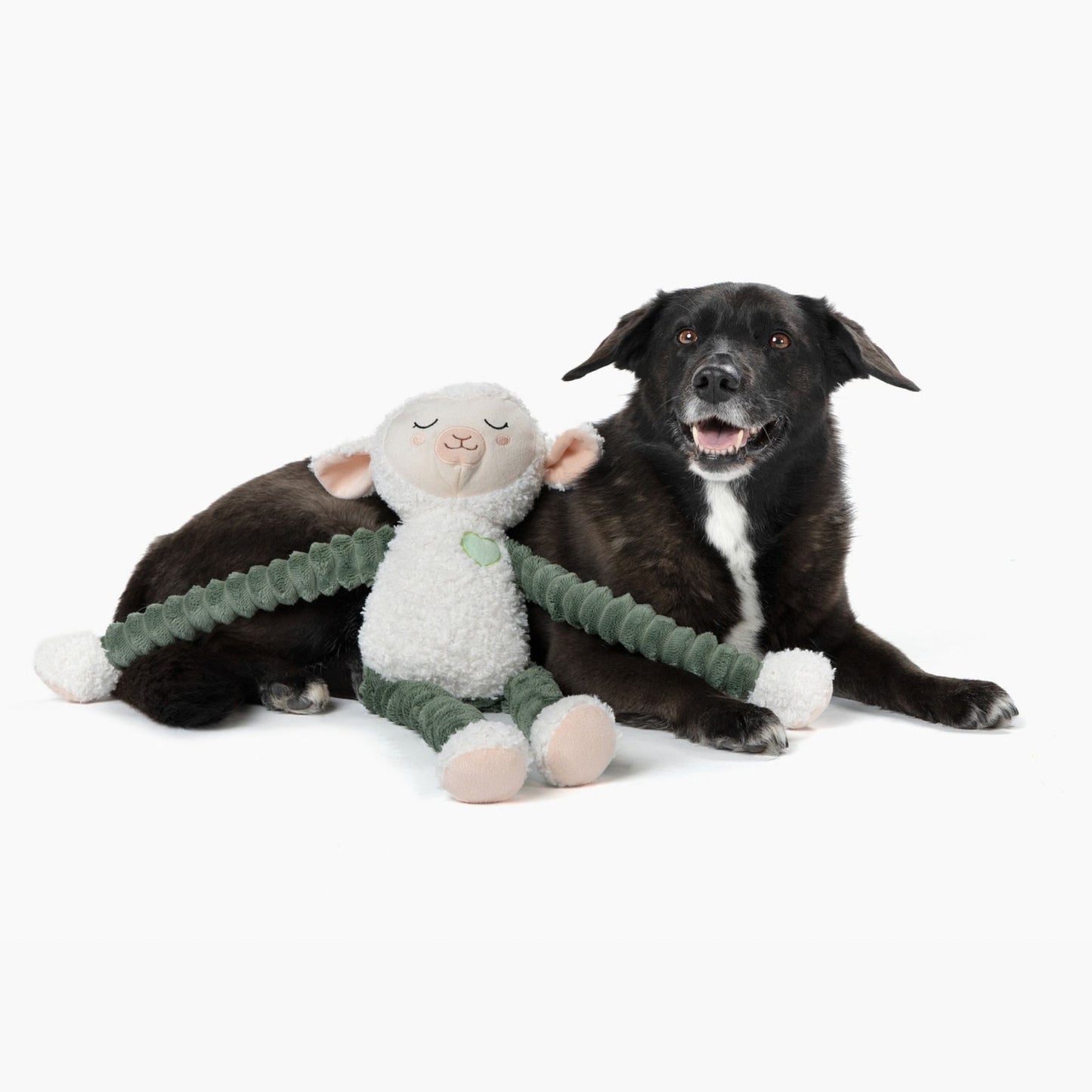 Lily Lamb 24"