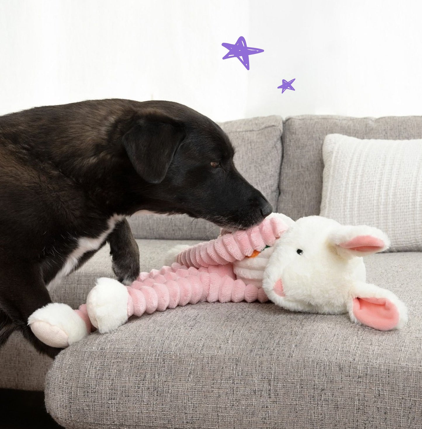 Ruby Rabbit 24"