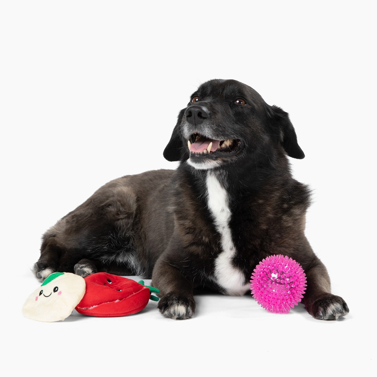 Prickles with Tomato and Mozzarella Cheese Ball 5"