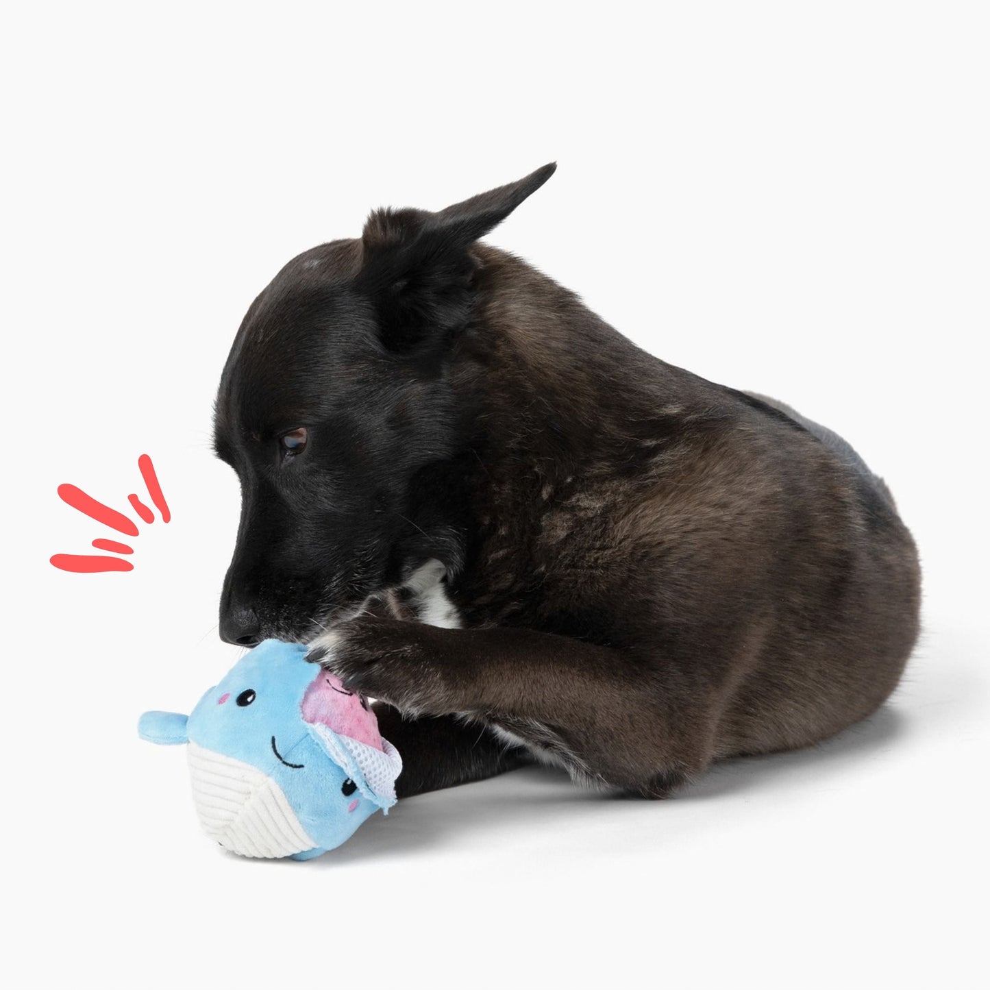 Prickles Whale with Aurora Bubble 5"