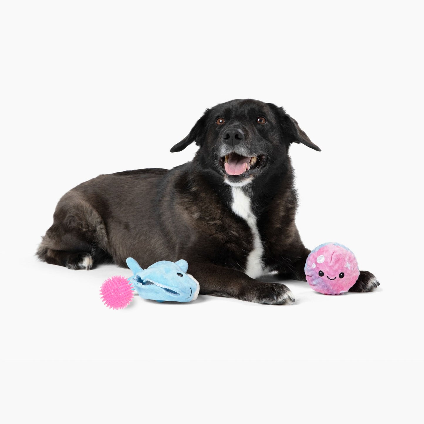 Prickles Whale with Aurora Bubble 5"