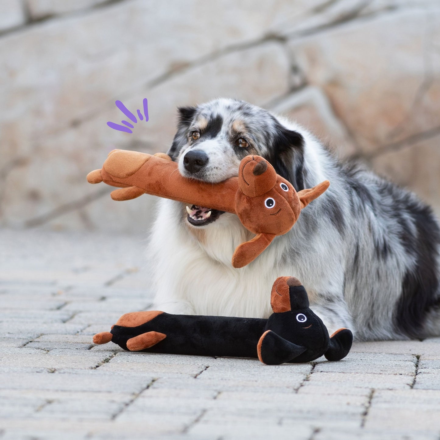 Winnie Dog Stick Duo 14"