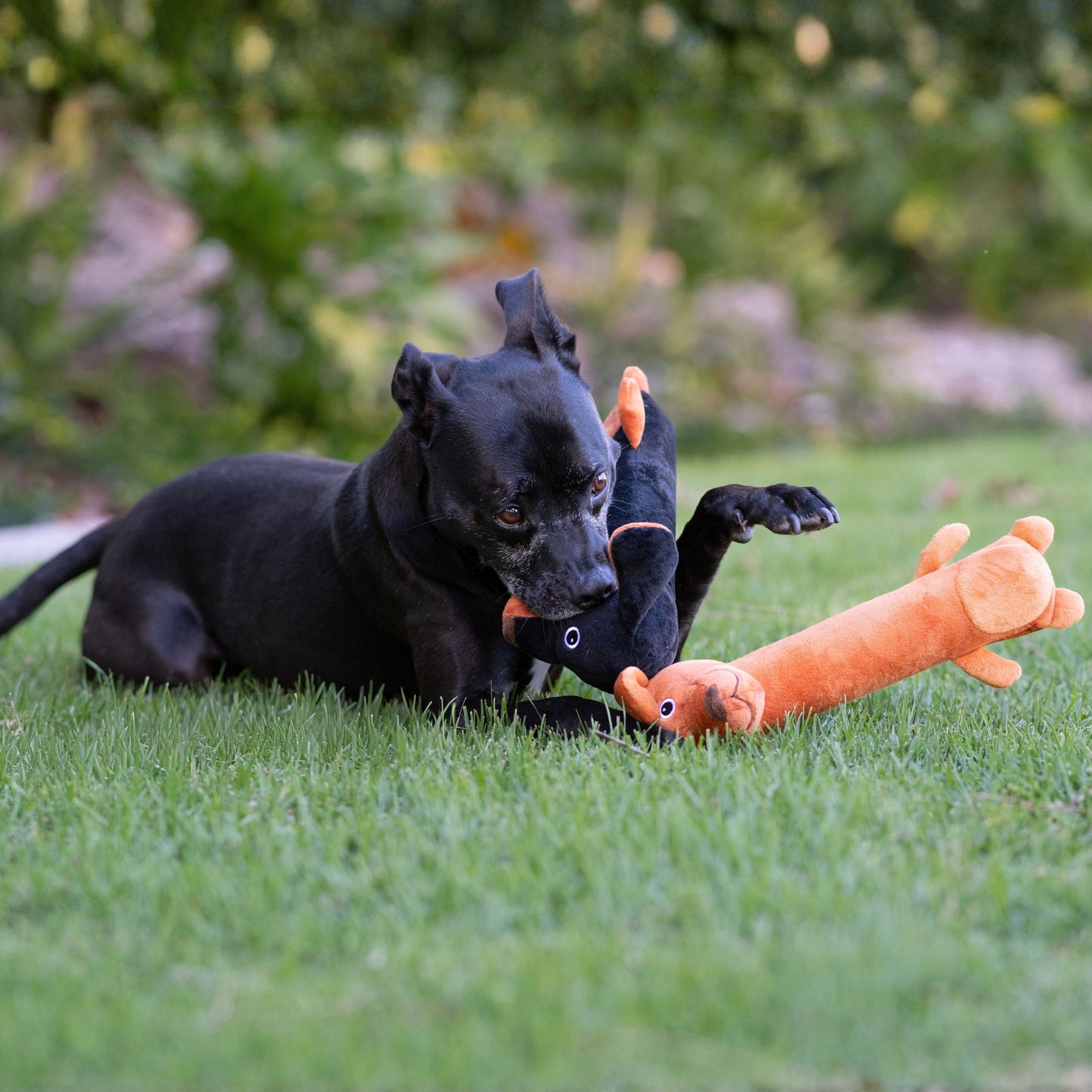 Winnie Dog Stick Duo 14"