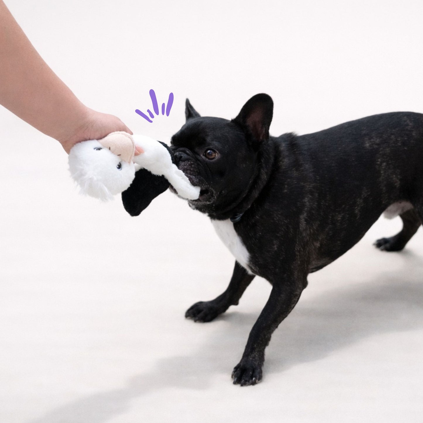 Turtle and Ostrich Stick Duo 14"