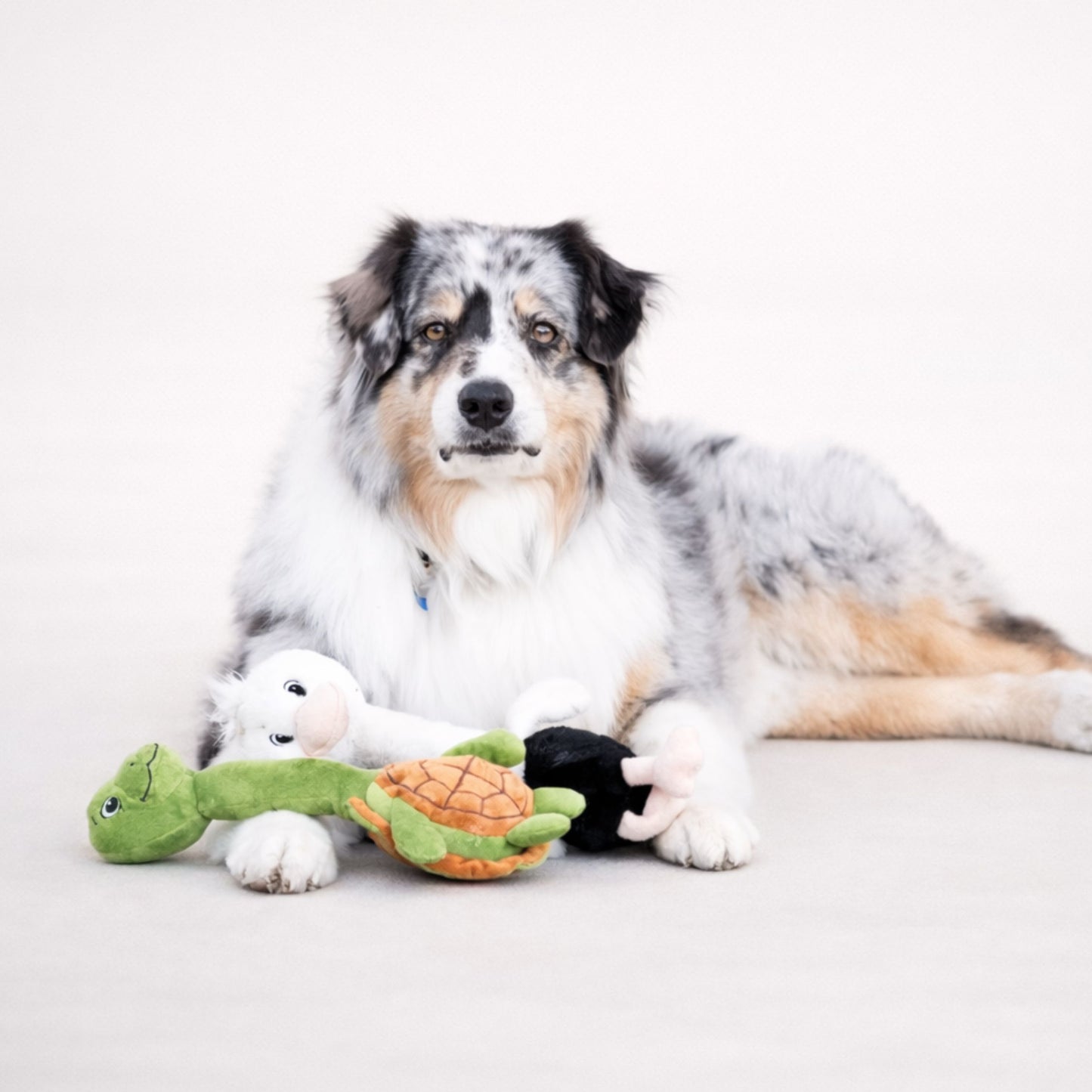 Turtle and Ostrich Stick Duo 14"