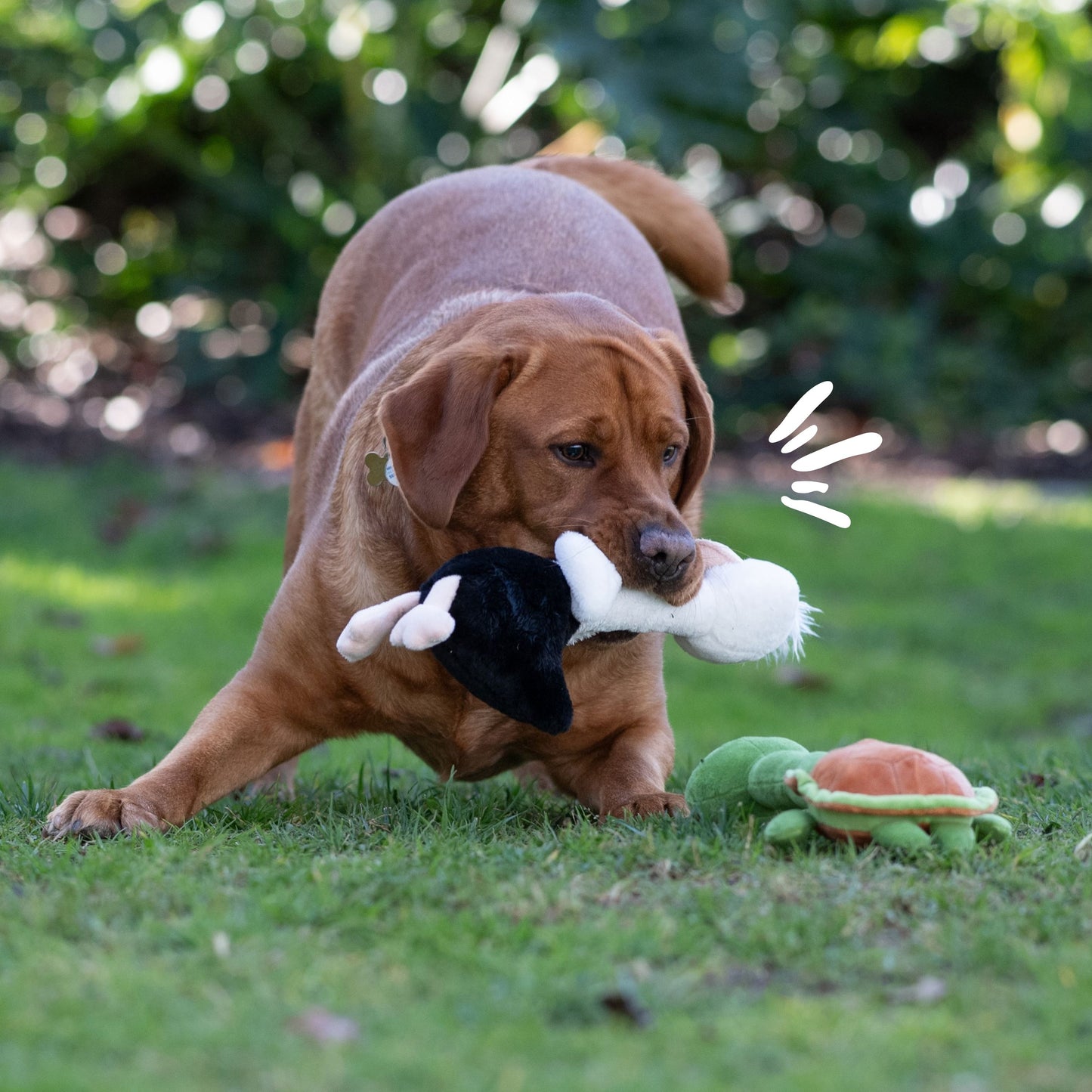Turtle and Ostrich Stick Duo 14"