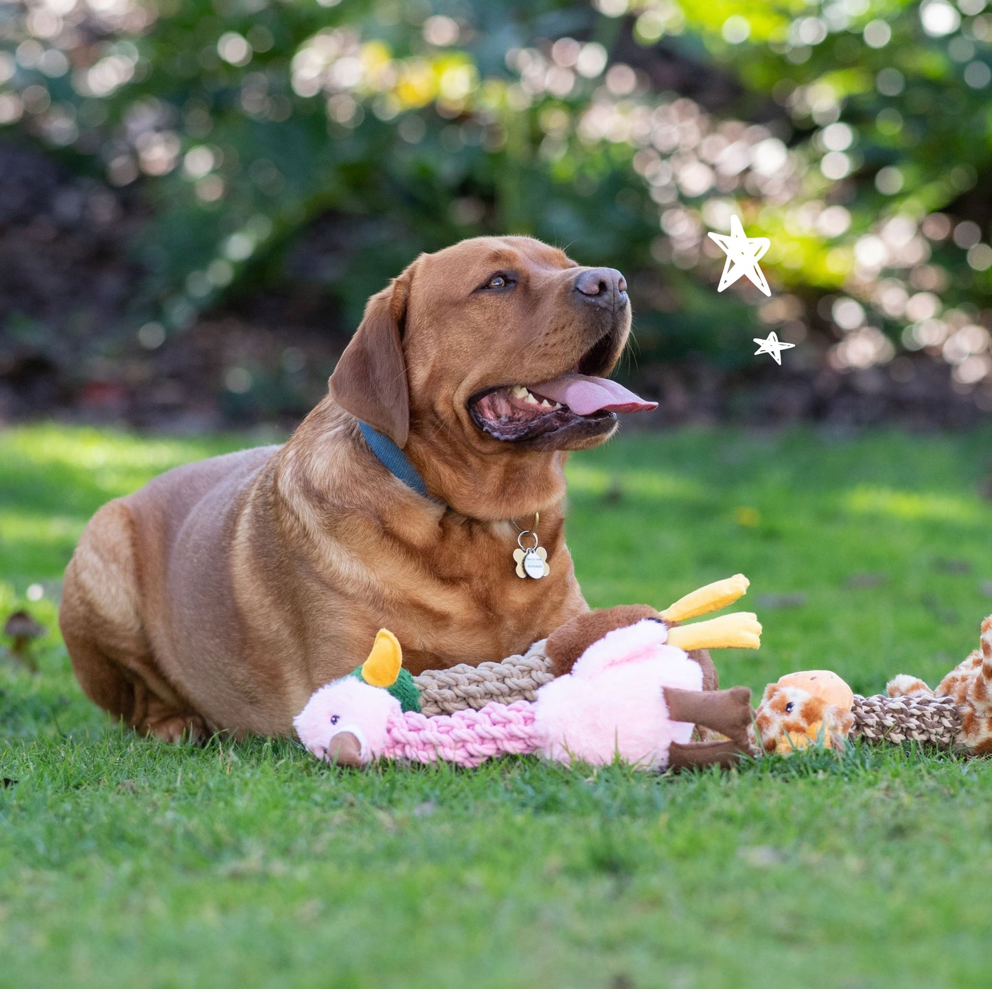 Tug and Toss Flamingo 15"