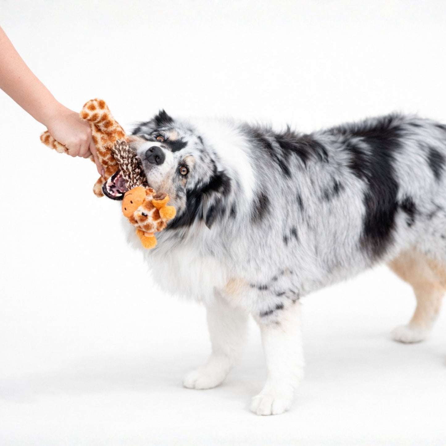 Tug and Toss Giraffe 15"