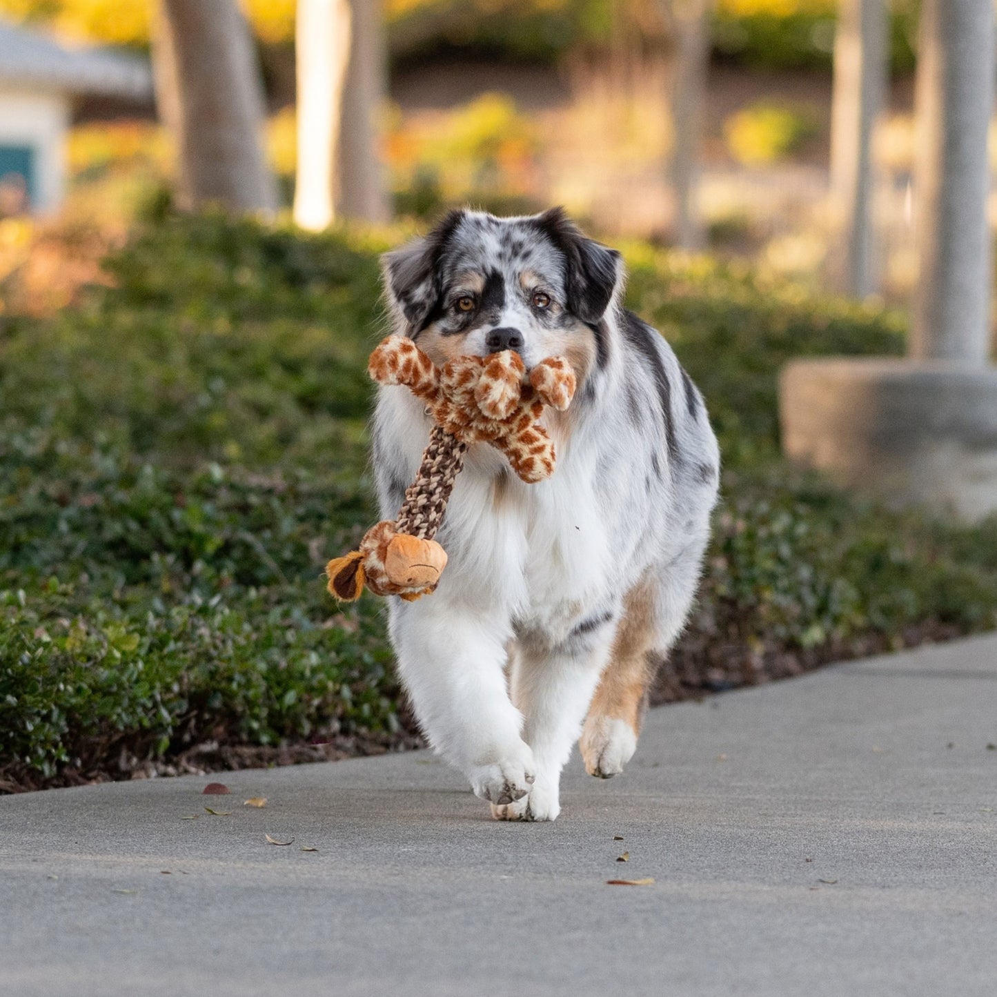 Tug and Toss Giraffe 15"