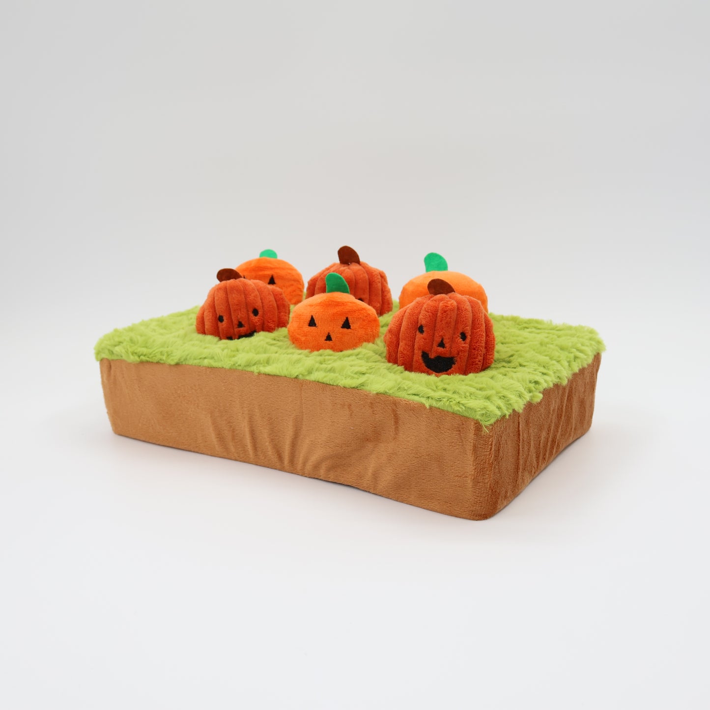 Jack-o-Lanterns at Cemetery 14"