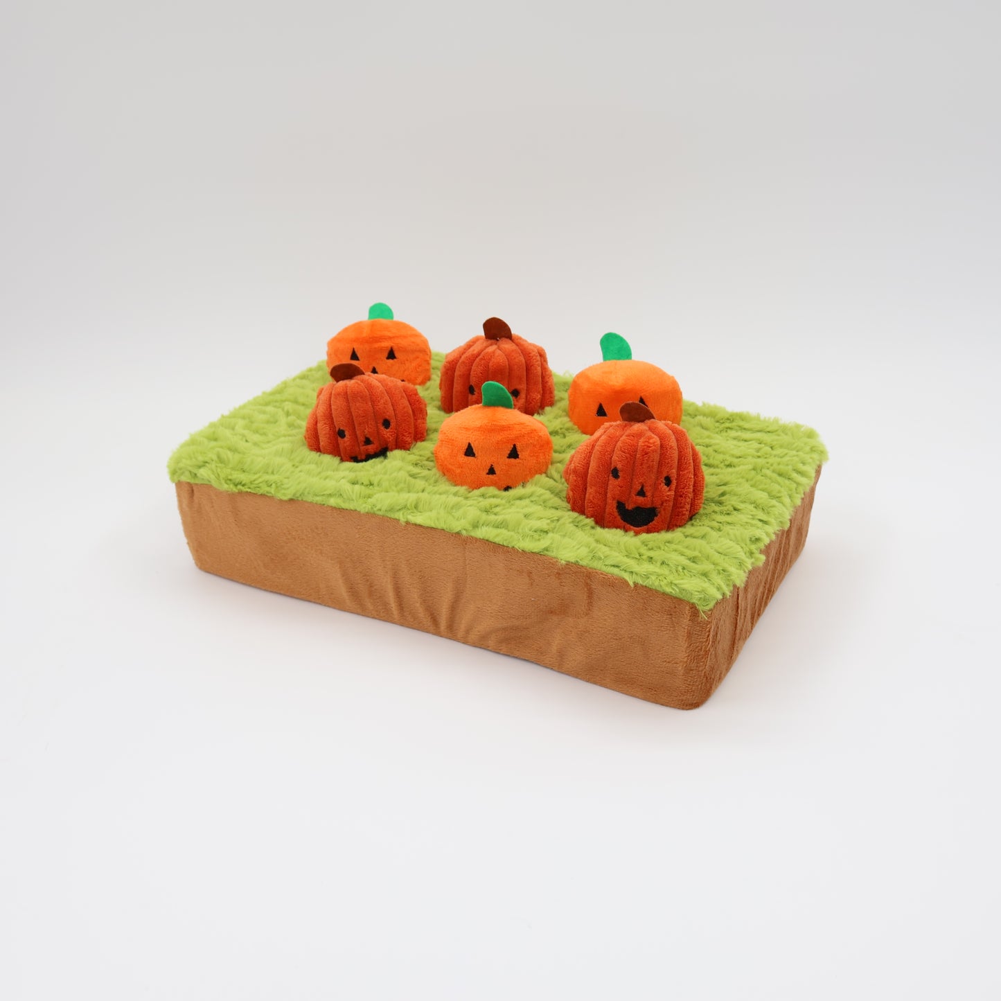 Jack-o-Lanterns at Cemetery 14"