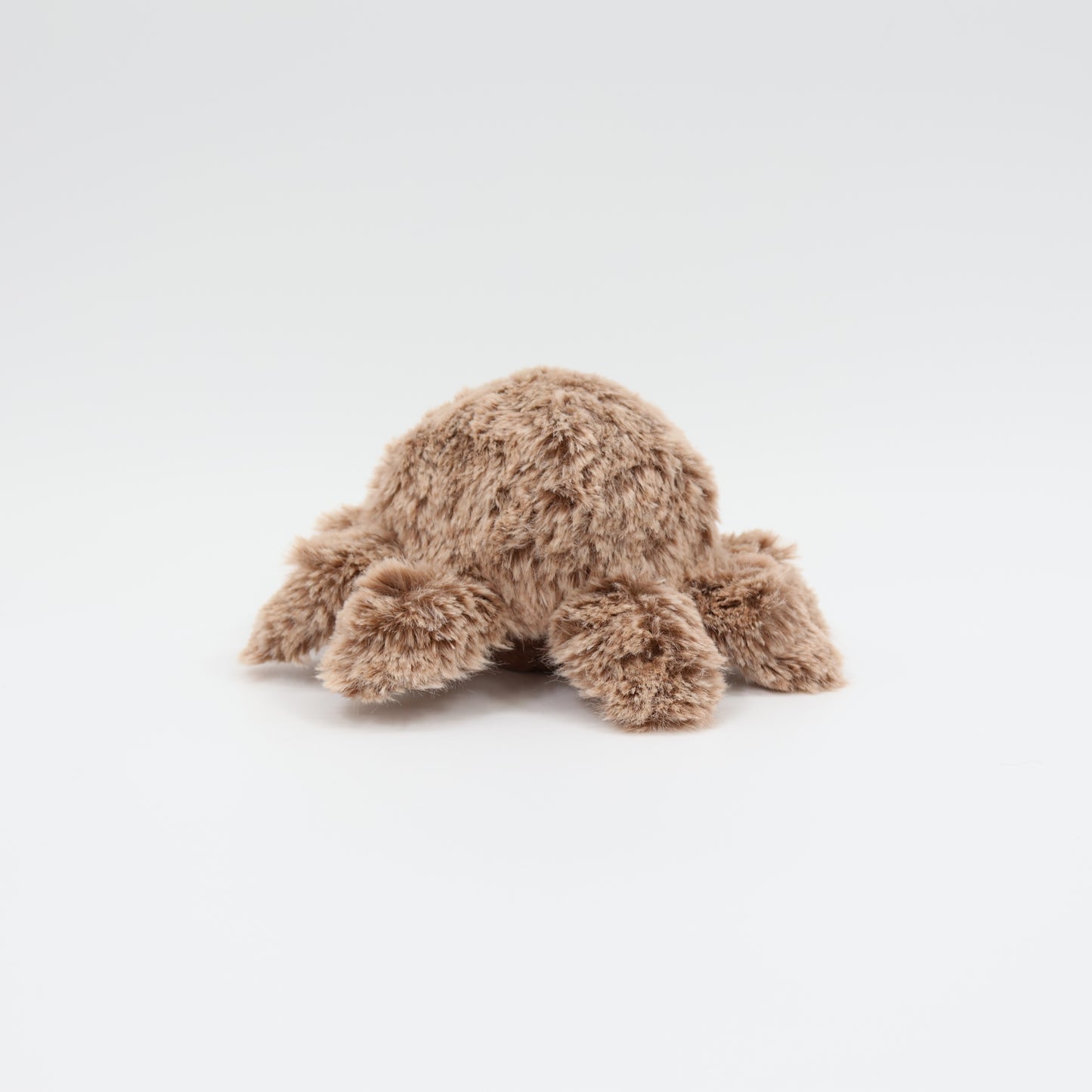 Pricklet Hairy Spider 4"