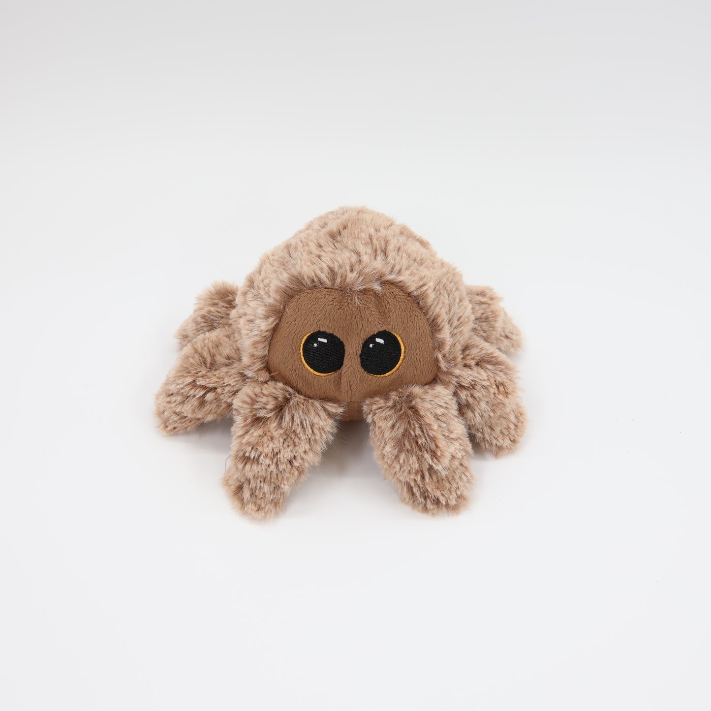 Pricklet Hairy Spider 4"