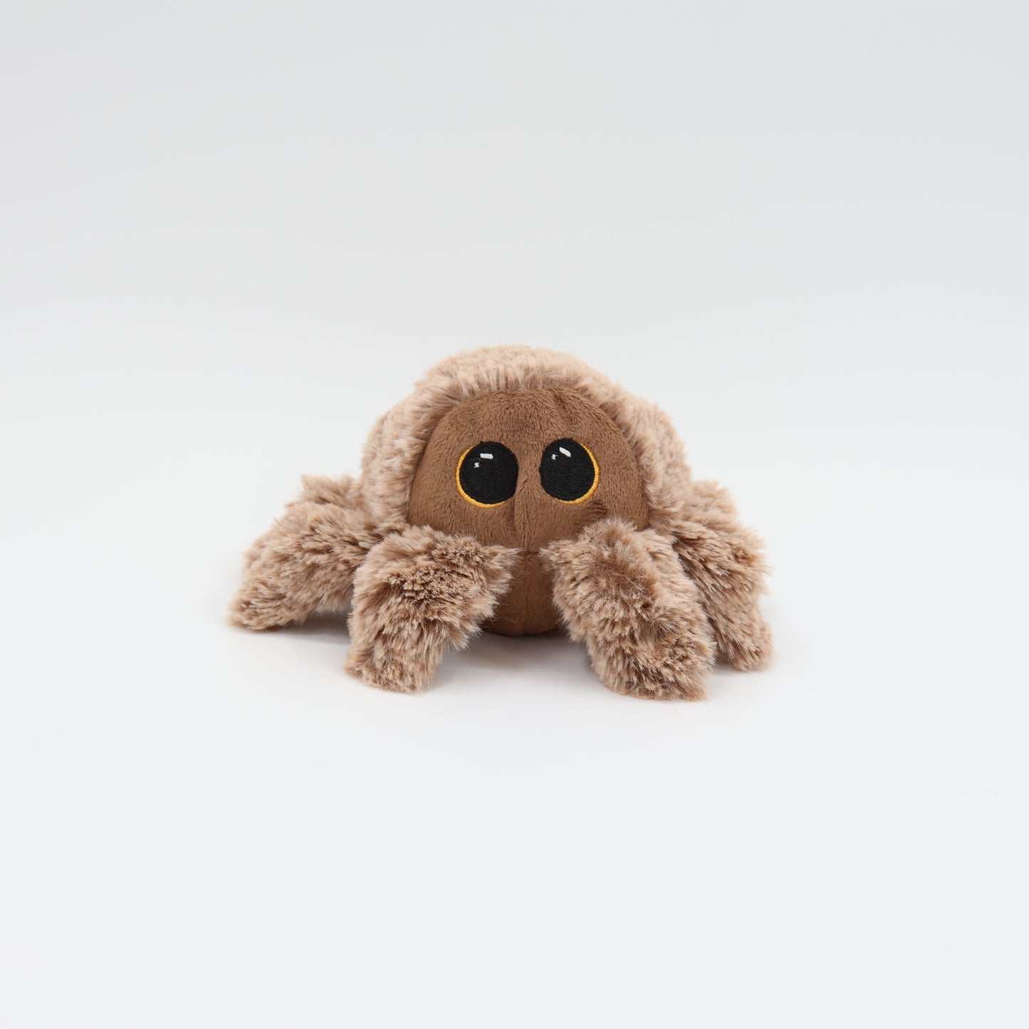 Pricklet Hairy Spider 4"