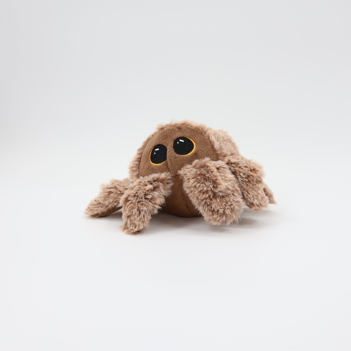 Pricklet Hairy Spider 4"