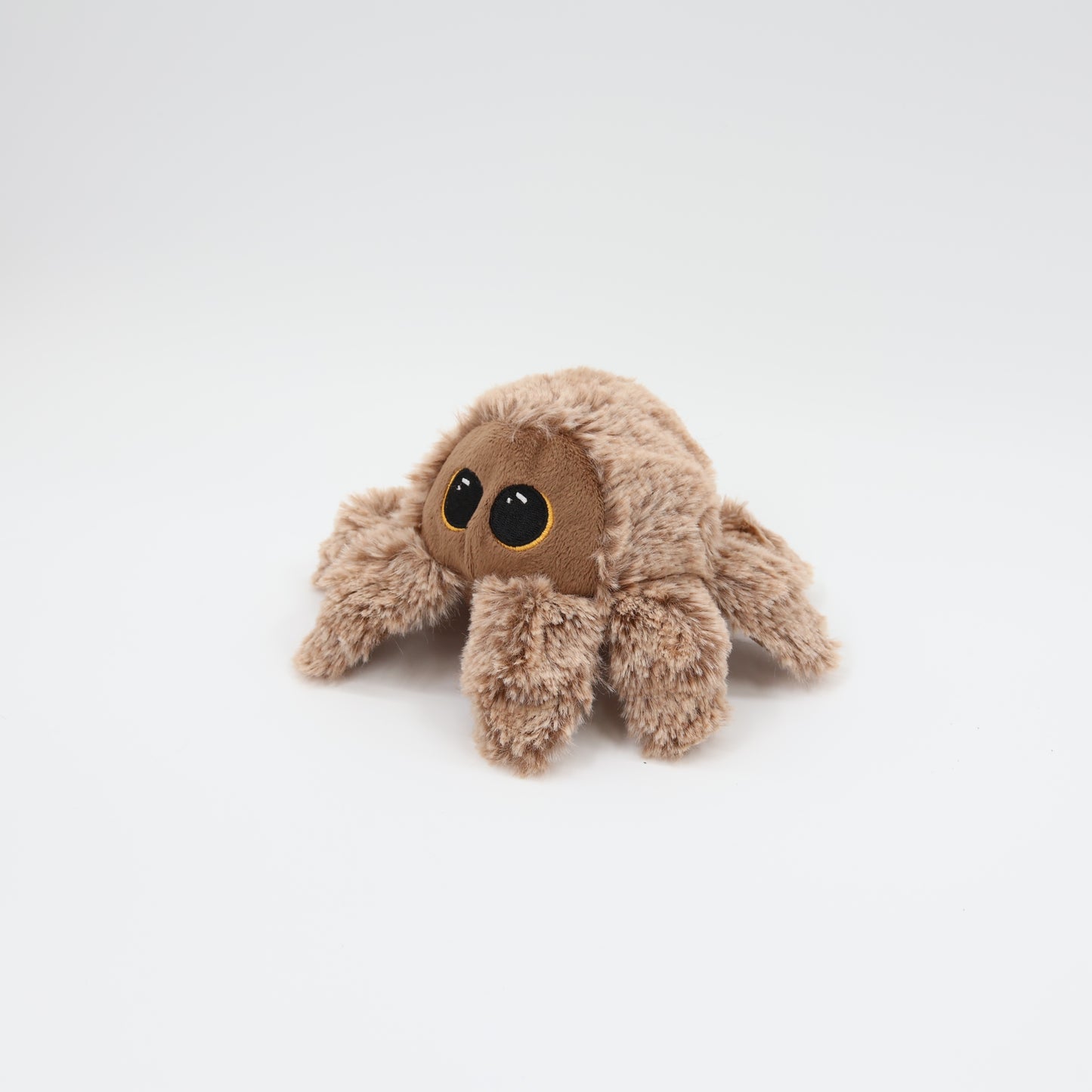 Pricklet Hairy Spider 4"