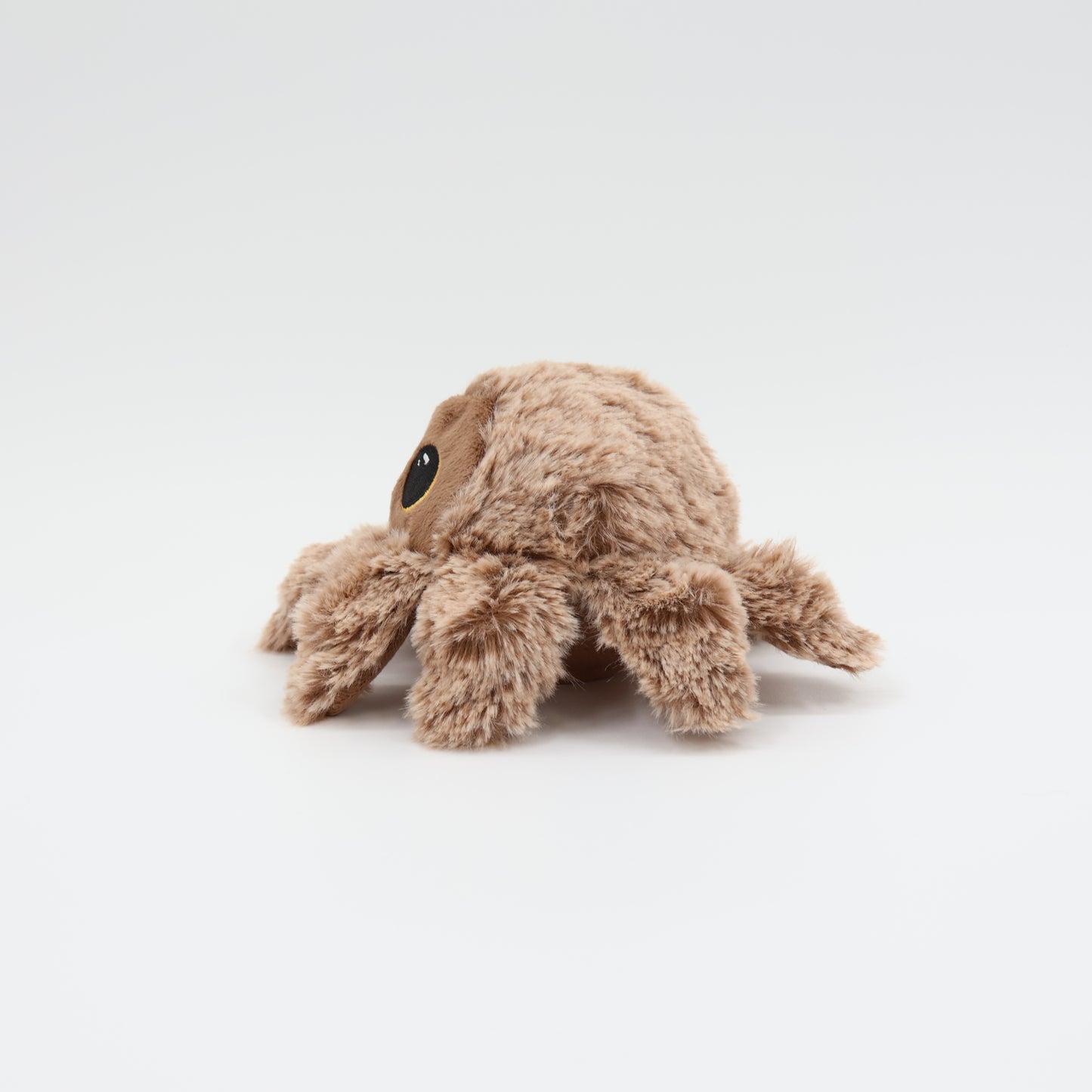 Pricklet Hairy Spider 4"