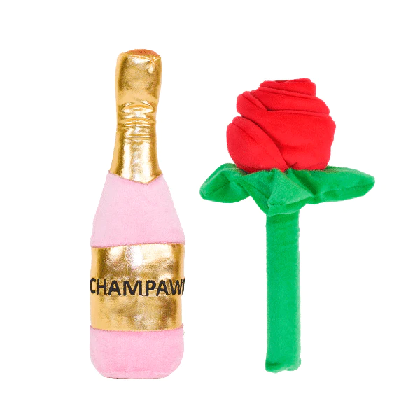 Champagne & Flower Duo (Pack of 2)